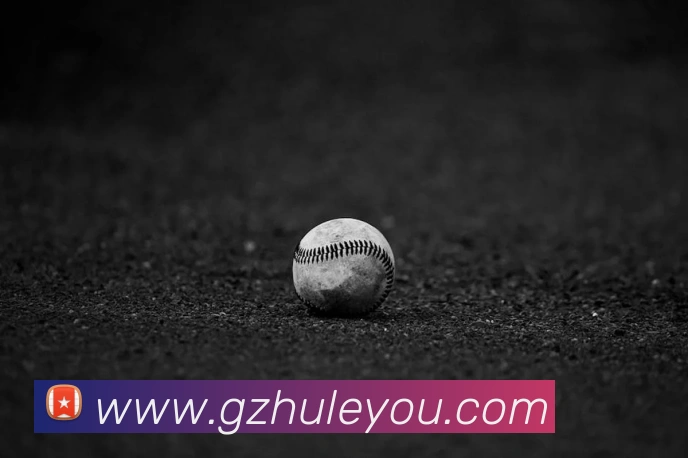 App Interface Preview